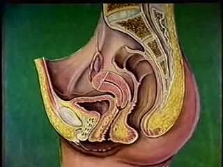 ทางการแพทย์