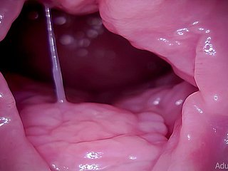 गर्भाशय ग्रीवा, vore, विशाल, ASMR