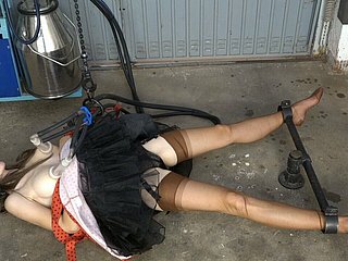 การรีดนมหัวนมในไนลอน