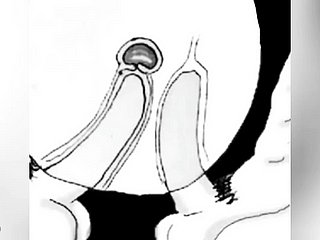I cum in your irritant as a result I don't get facile - play the fool boru sumi