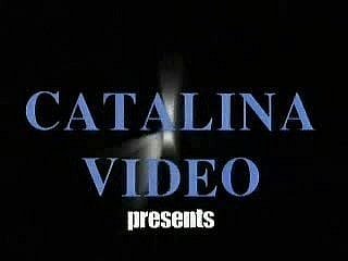 80年代のクラシックバイセクシャルヴィド